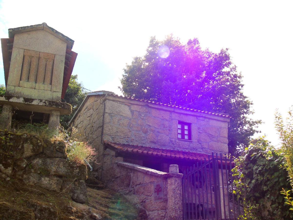 Casa Da Carvalheira Villa Parada  Екстериор снимка